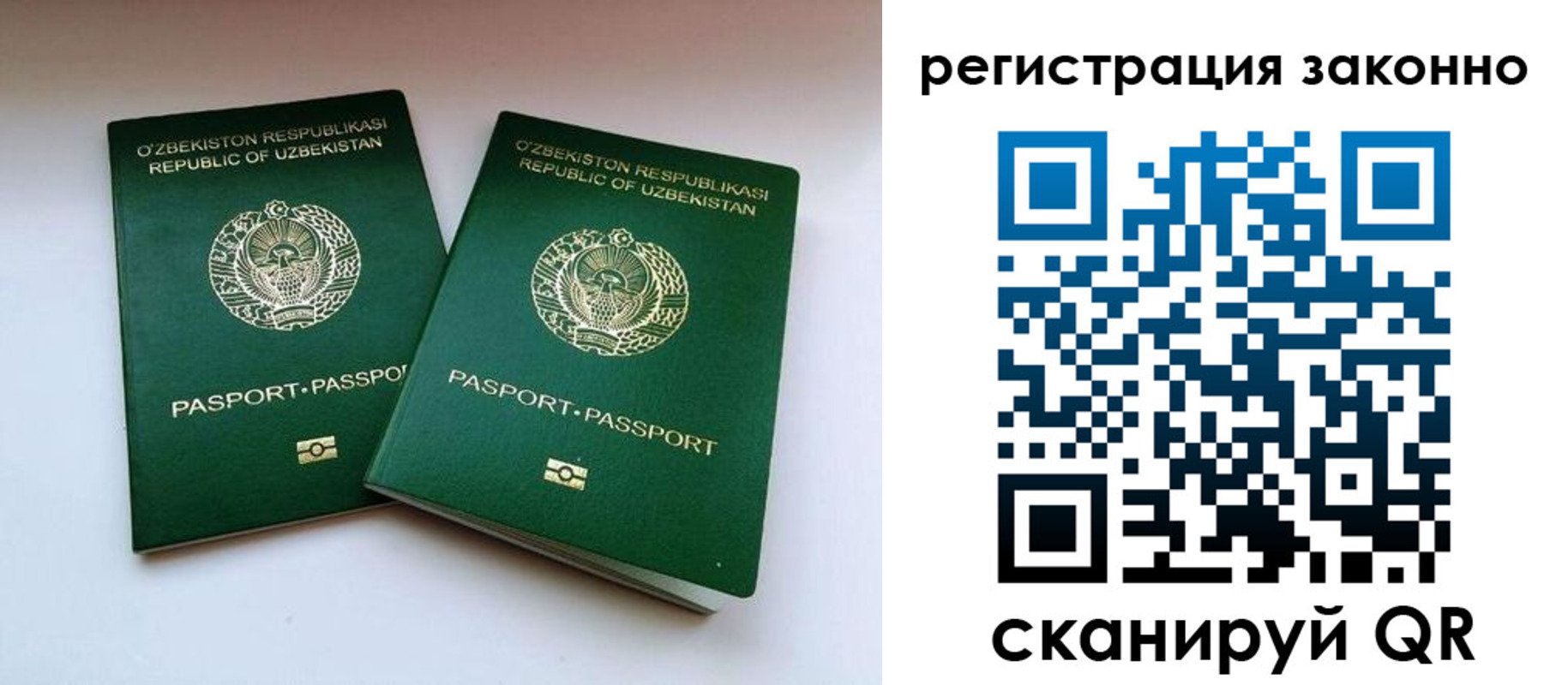 прописка гарантия в Клинцах